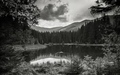 Vrbicke pleso