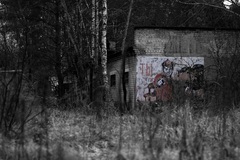 The Soviet Army wants You!