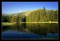 Vrbické pleso
