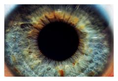 Black Hole