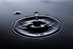Splash