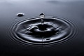 Splash