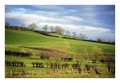 Hills