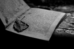 forgotten words