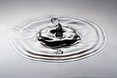 člověče nezlob se