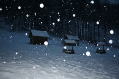snowy night