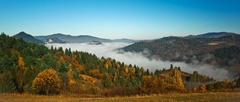 Dolina v hmle