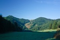 Zelená