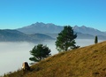 Ranná paša