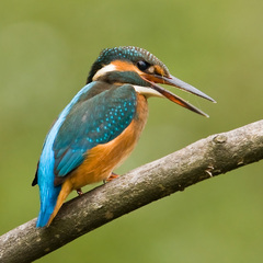 nejak sa to pomotalo...