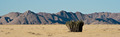 Etosha