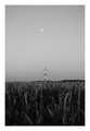 Pole