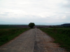 Cesta.....