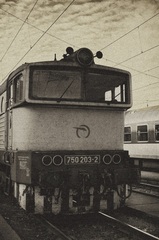 rusen