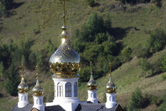 golden cibulky
