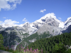 Stelvio