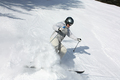 Skier