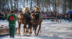 Gaštan a Waldes