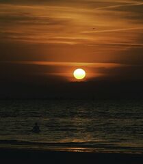 bude hic...