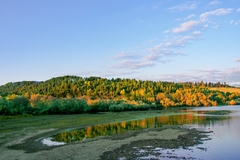 odliv