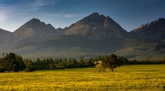Gerlach s kamošmi