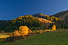 pod vežou