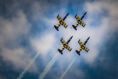 Baltic Bees
