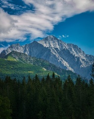 Kolový štít