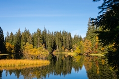 Vrbické pleso