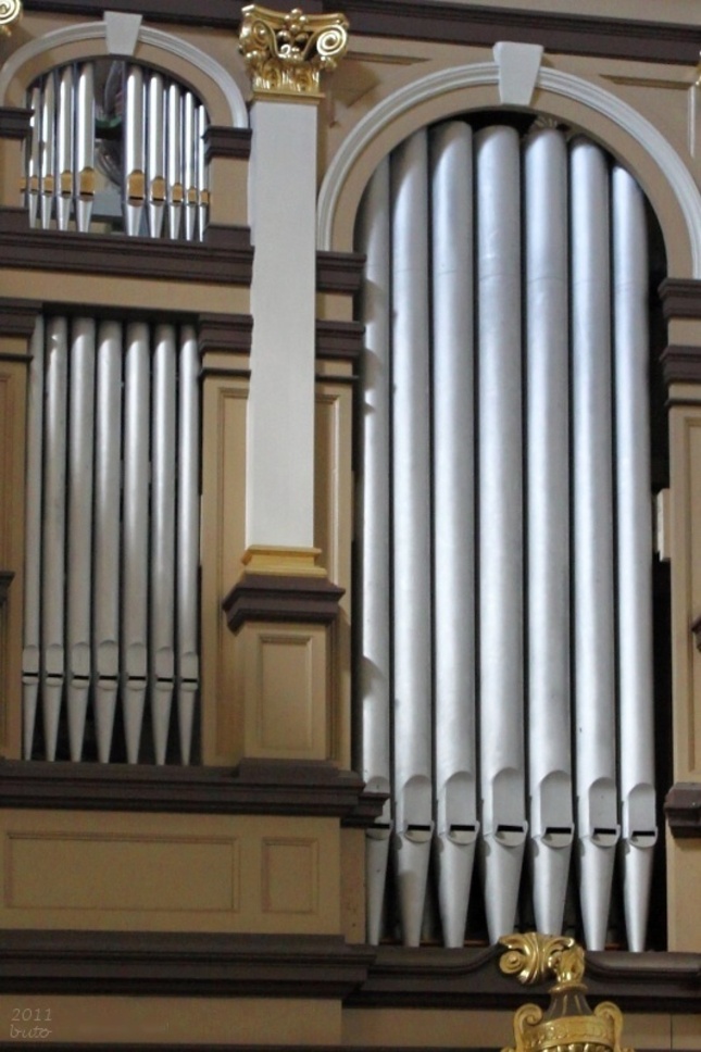 Pistaly organu