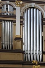 Pistaly organu