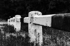 crossing