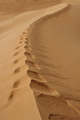 Púšť Abhu Dhaby 3