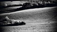 Potulky krajinou bielych kvetov