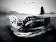 Život si cestu nájde