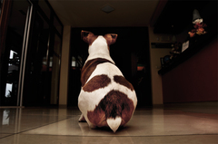 Moje miesto moj tron