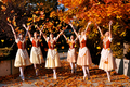 Orange World