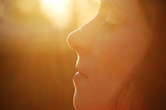 ...energy of spring sun...