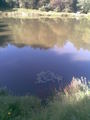 priroda
