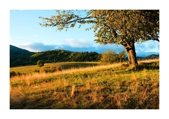 Keď sa leto v jeseň mení