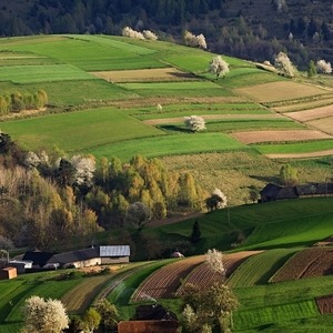 Podpolianske línie IV.