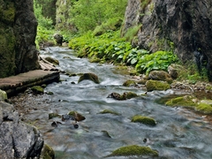 Prosiecka dolina - Vráta