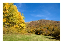 Keď ju miluješ ...jeseň