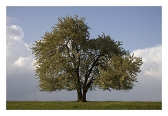 V posledných lúčoch