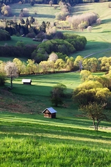Podpolianske línie V.