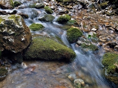 Prosiecka dolina - Vráta