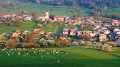U susedov v chotári tiež pekne
