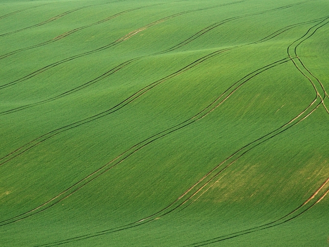 Moravské línie II.