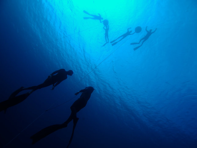 Freedivers