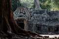 Ankor Wat
